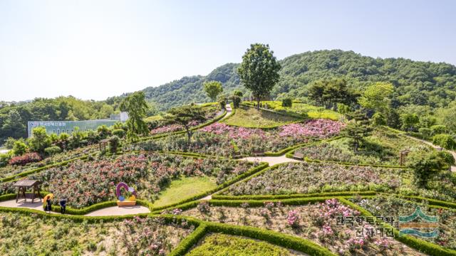 대표시청각 이미지