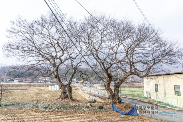 대표시청각 이미지