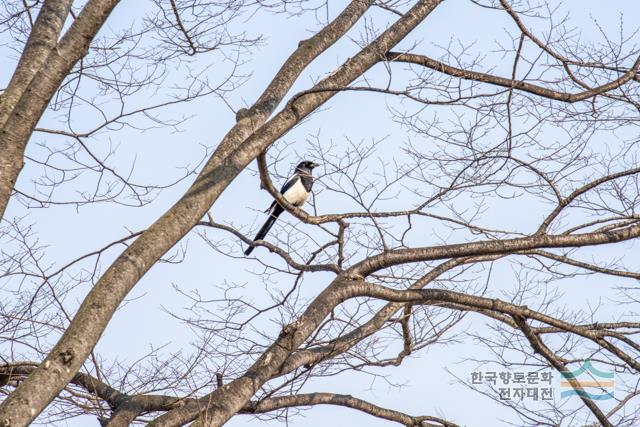 대표시청각 이미지