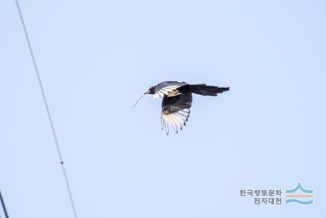 대표시청각 이미지